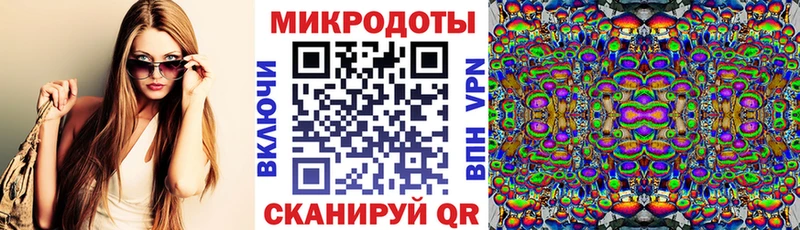 Галлюциногенные грибы Psilocybe  Бугуруслан 